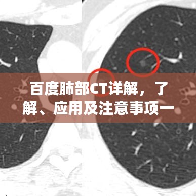 鳥驚魚駭 第3頁