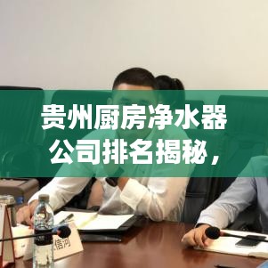 貴州廚房凈水器公司排名揭秘，市場影響力與市場份額的較量