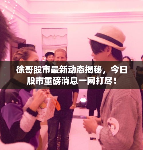 徐哥股市最新動(dòng)態(tài)揭秘，今日股市重磅消息一網(wǎng)打盡！