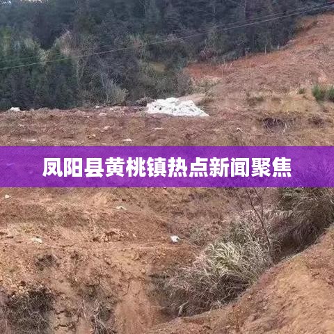 鳳陽縣黃桃鎮(zhèn)熱點(diǎn)新聞聚焦