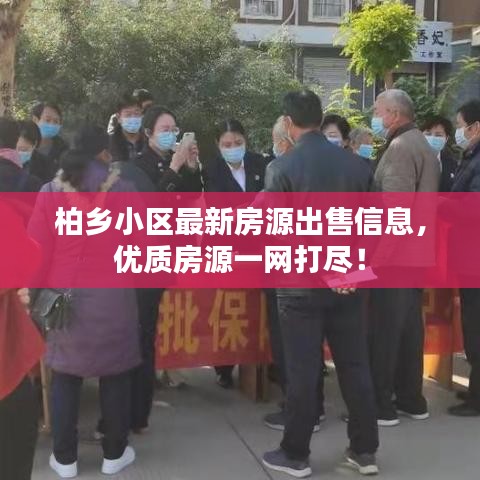 柏鄉(xiāng)小區(qū)最新房源出售信息，優(yōu)質(zhì)房源一網(wǎng)打盡！