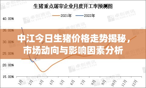 中江今日生豬價(jià)格走勢揭秘，市場動(dòng)向與影響因素分析