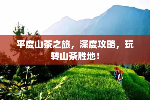 平度山茶之旅，深度攻略，玩轉(zhuǎn)山茶勝地！