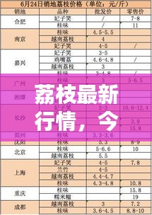 荔枝最新行情，今日價(jià)格走勢(shì)分析