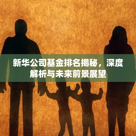 新華公司基金排名揭秘，深度解析與未來(lái)前景展望