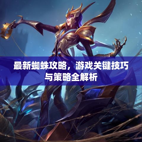 最新蜘蛛攻略，游戲關鍵技巧與策略全解析