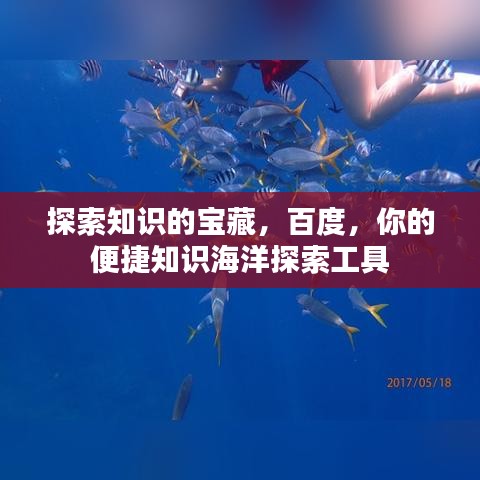 探索知識的寶藏，百度，你的便捷知識海洋探索工具