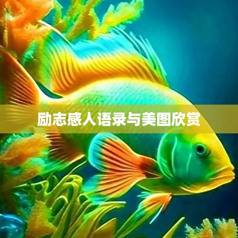 勵(lì)志感人語錄與美圖欣賞