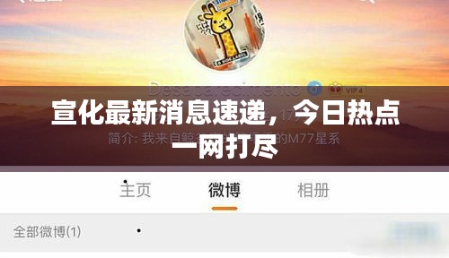 宣化最新消息速遞，今日熱點(diǎn)一網(wǎng)打盡