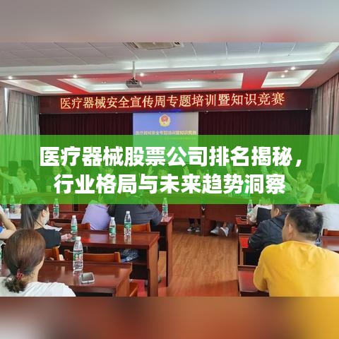 醫(yī)療器械股票公司排名揭秘，行業(yè)格局與未來趨勢洞察