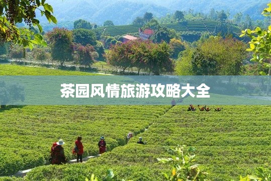 茶園風(fēng)情旅游攻略大全