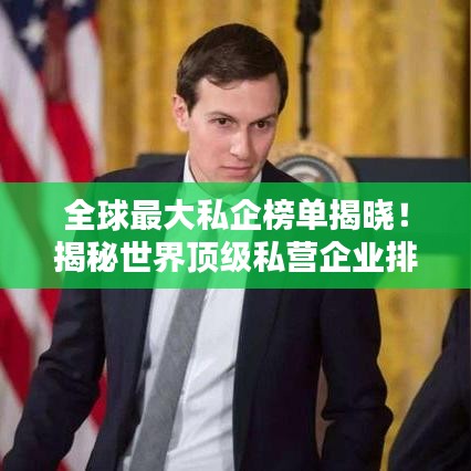 全球最大私企榜單揭曉！揭秘世界頂級私營企業(yè)排名