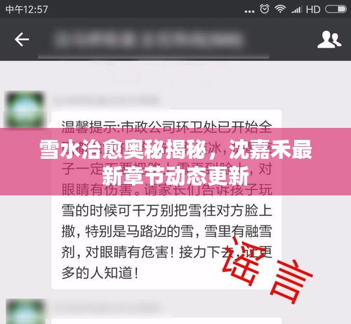 雪水治愈奧秘揭秘，沈嘉禾最新章節(jié)動(dòng)態(tài)更新