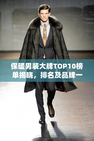 保暖男裝大牌TOP10榜單揭曉，排名及品牌一網(wǎng)打盡
