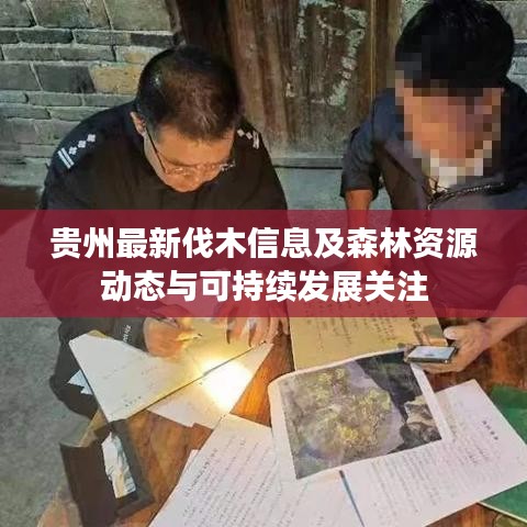 貴州最新伐木信息及森林資源動(dòng)態(tài)與可持續(xù)發(fā)展關(guān)注