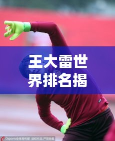 王大雷世界排名揭秘，中國足球的榮耀瞬間