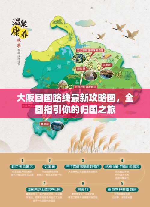 大阪回國(guó)路線最新攻略圖，全面指引你的歸國(guó)之旅