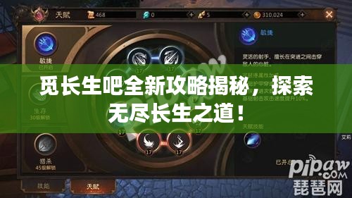 覓長(zhǎng)生吧全新攻略揭秘，探索無盡長(zhǎng)生之道！