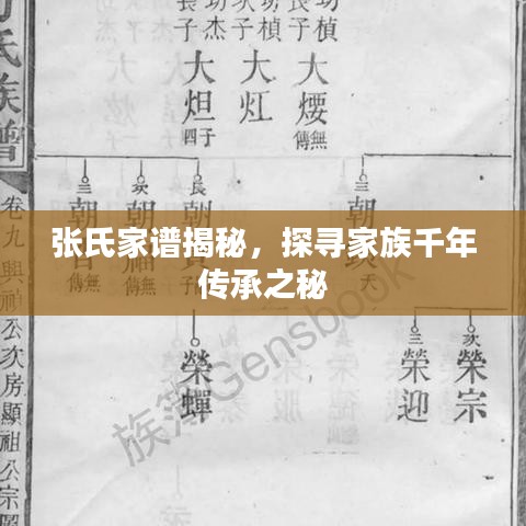 張氏家譜揭秘，探尋家族千年傳承之秘