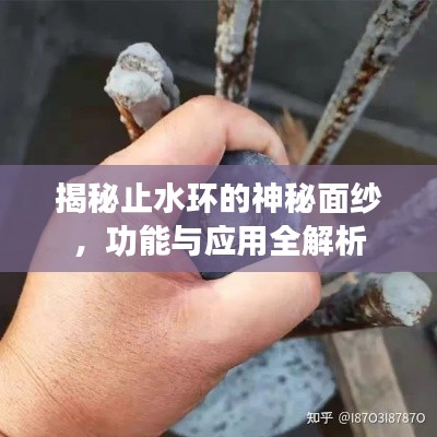 揭秘止水環(huán)的神秘面紗，功能與應用全解析