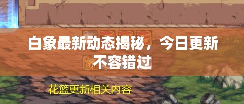 白象最新動態(tài)揭秘，今日更新不容錯過