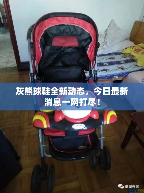 灰熊球鞋全新動(dòng)態(tài)，今日最新消息一網(wǎng)打盡！