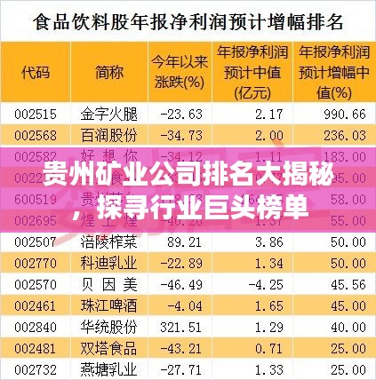 貴州礦業(yè)公司排名大揭秘，探尋行業(yè)巨頭榜單