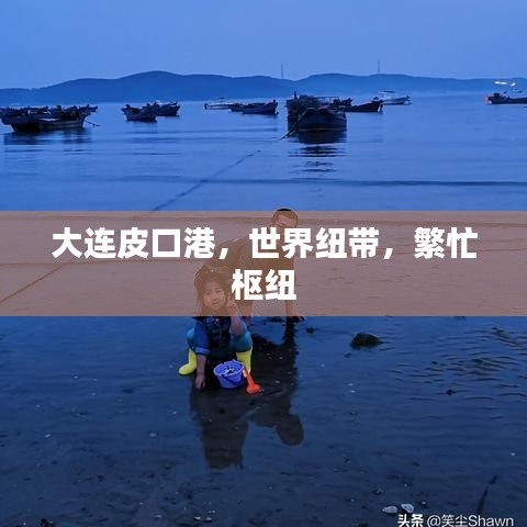 大連皮口港，世界紐帶，繁忙樞紐