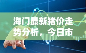 海門(mén)最新豬價(jià)走勢(shì)分析，今日市場(chǎng)趨勢(shì)解讀