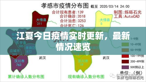 江夏今日疫情實時更新，最新情況速覽