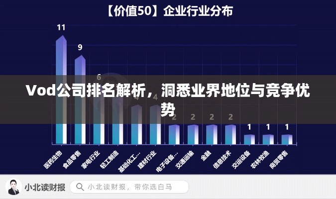 Vod公司排名解析，洞悉業(yè)界地位與競爭優(yōu)勢