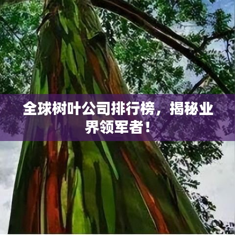 全球樹(shù)葉公司排行榜，揭秘業(yè)界領(lǐng)軍者！
