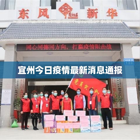 宜州今日疫情最新消息通報