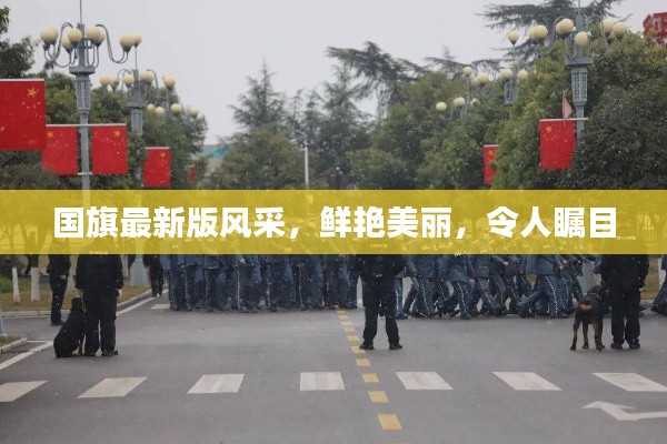 國(guó)旗最新版風(fēng)采，鮮艷美麗，令人矚目