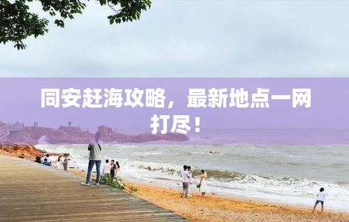 同安趕海攻略，最新地點一網打盡！