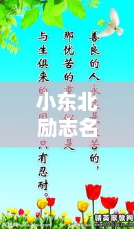 小東北勵志名言，激發(fā)無限潛能的短句