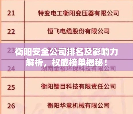 衡陽安全公司排名及影響力解析，權威榜單揭秘！