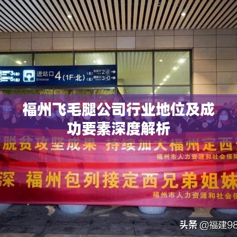 福州飛毛腿公司行業(yè)地位及成功要素深度解析