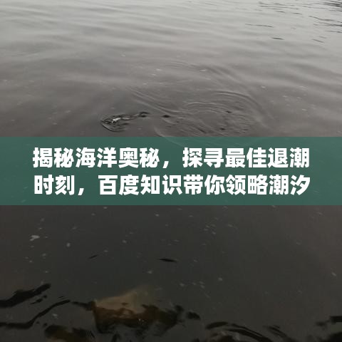 揭秘海洋奧秘，探尋最佳退潮時刻，百度知識帶你領(lǐng)略潮汐魅力