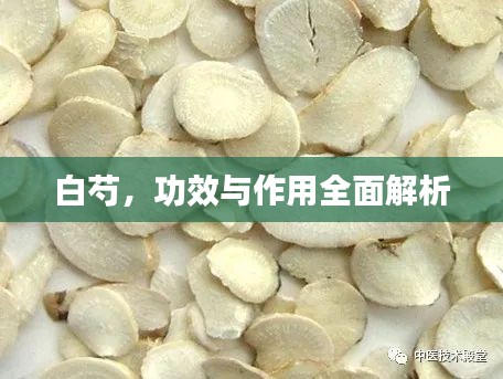 白芍，功效與作用全面解析
