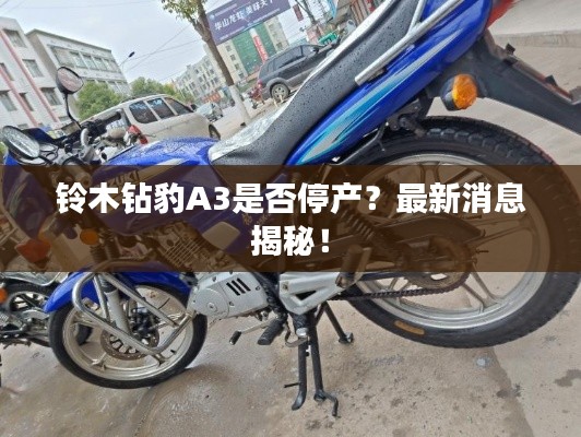 鈴木鉆豹A3是否停產(chǎn)？最新消息揭秘！