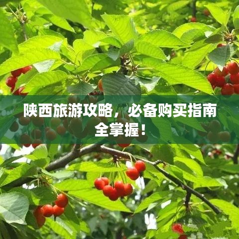 陜西旅游攻略，必備購(gòu)買指南全掌握！