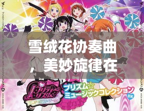 雪絨花協(xié)奏曲，美妙旋律在百度回響