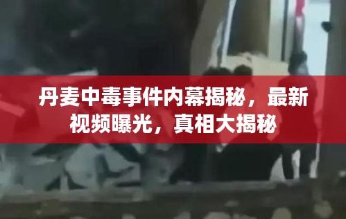 丹麥中毒事件內(nèi)幕揭秘，最新視頻曝光，真相大揭秘