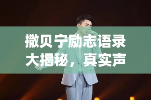 撒貝寧勵志語錄大揭秘，真實聲音，激勵人心