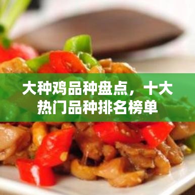 大種雞品種盤點(diǎn)，十大熱門品種排名榜單