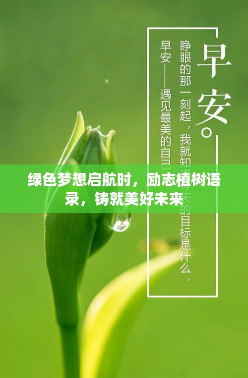 綠色夢(mèng)想啟航時(shí)，勵(lì)志植樹語(yǔ)錄，鑄就美好未來(lái)