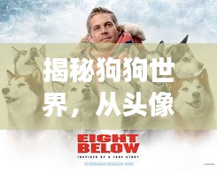 揭秘狗狗世界，從頭像圖片開啟的奇妙探險(xiǎn)之旅