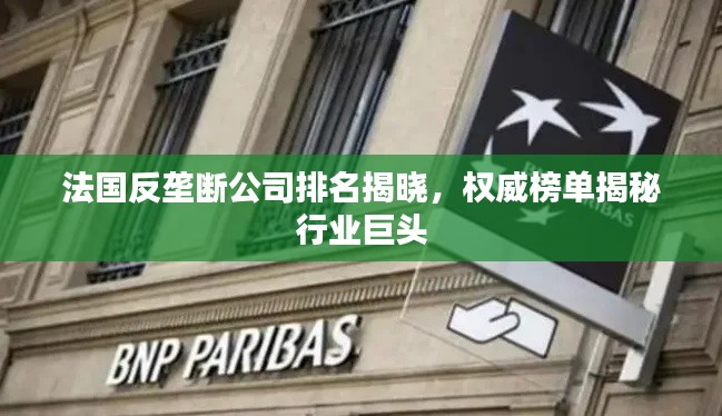 法國反壟斷公司排名揭曉，權威榜單揭秘行業(yè)巨頭