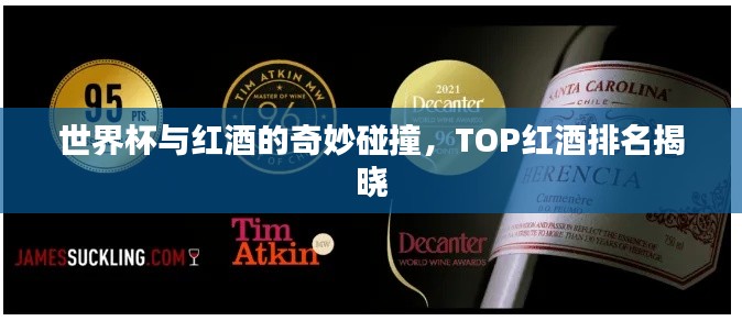 世界杯與紅酒的奇妙碰撞，TOP紅酒排名揭曉